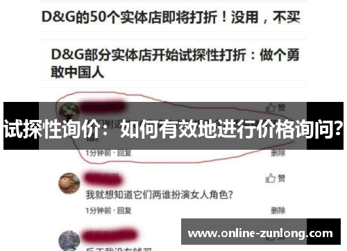 试探性询价：如何有效地进行价格询问？